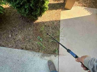 Weeding by Scaroline LLC for David K. in Alpharetta, GA