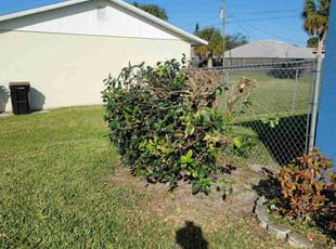 Bush Trimming by Jose Taveras for Patty B. in Palm Bay, FL