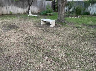 Leaf Removal by Mowpro's Llc for Edward T. in Arlington, TX
