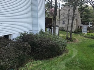 Leaf Removal by Tamula Chery for AbuHuraira A. in Fairfax, VA