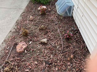 Weeding by Dustin Soyez for Garrett M. in Wichita, KS