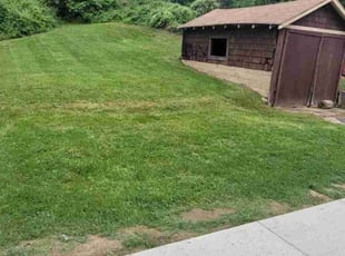 Leaf Removal by Jose Gonzalez for Charles C. in Washington, DC