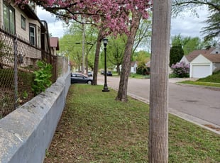 Cleanups by David Gallaway for Tianna J. in Saint Paul, MN