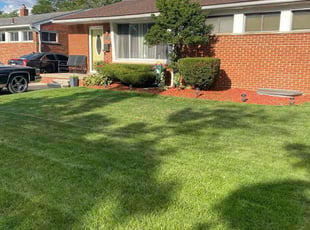Bush Trimming by Treyvon Johnson for Deoundrea K. in Oak Park, MI