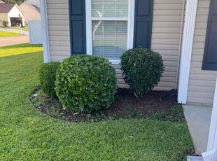 Kelvin G.'s Bush Trimming service result