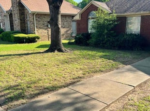 Leaf Removal by Marcus Carranza for Dwight S. in Cedar Hill, TX