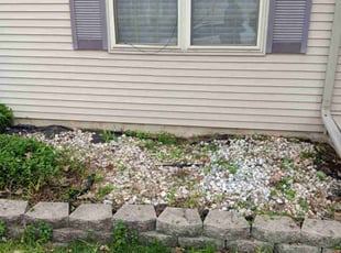 Weeding by Kevin Rhyne for Adam I. in Madison, WI