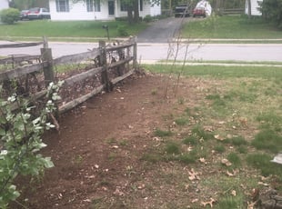 Cleanups by Adam Okuley for Julie A. in Holland, OH