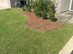Weeding by Johnathon Chester for Richard B. in Baton Rouge, LA
