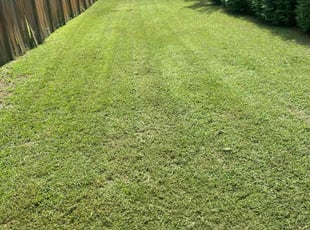 Rebecca W.'s Lawn Mowing Service service result
