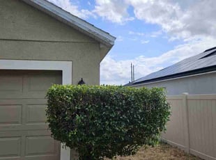 Bush Trimming by Jason Woytowitz for Deangelo M. in Orlando, FL