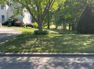 Leah B.'s Lawn Mowing Service service result