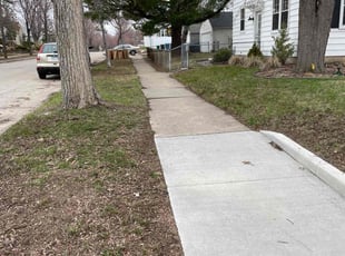 Leaf Removal by Connor Doyle for Betsy B. in Minneapolis, MN