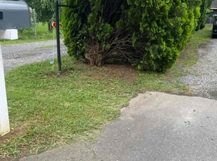 Bush Trimming by Agustin Valle for Aver R. in Rock Hill, SC