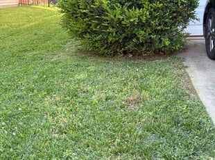 Weeding by Quincy D. for Tarick A. in Charlotte, NC