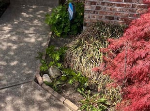 Cleanups by Daniel Bunch for Rachel C. in Hilliard, OH