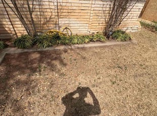 Leaf Removal by Matthew Wright for Elizabeth T. in Lubbock, TX