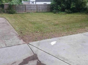 Leaf Removal by Jazzmin Earl for Victoria G. in Atlanta, GA
