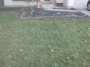Leaf Removal by Jack Thrush for Rodney N. in Columbus, OH