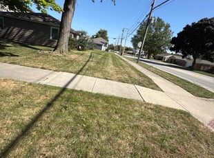 Elizabeth M.'s Lawn Mowing service result