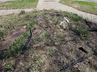 Cleanups by Frederick Griner for Luke R. in Toledo, OH