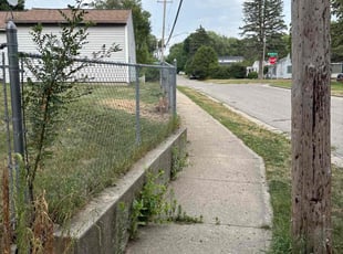 Jackie R.'s Bush Trimming service result