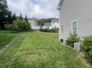 Eleanor C.'s Lawn Mowing Service service result