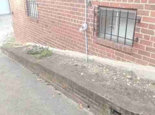 Leaf Removal by Chris Stewart for James D. in Washington, DC