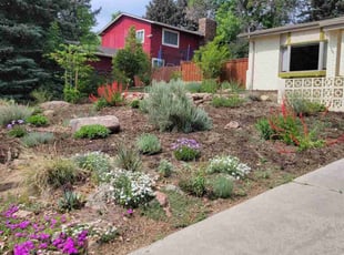 Weeding by Jason Bickler for Ann C. in Longmont, CO