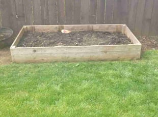 Weeding by Robert Marsico for Adrian B. in Vancouver, WA