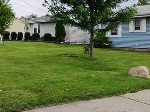 Marcus R.'s Lawn Mowing service result