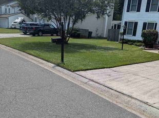 Benjamin H.'s Grass Cutting service result