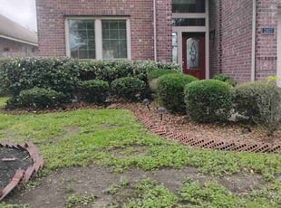 Bush Trimming by Yanet Maciel for Jack W. in Pearland, TX