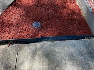 Mulching by Latonya Talley for Chandra A. in Atlanta, GA
