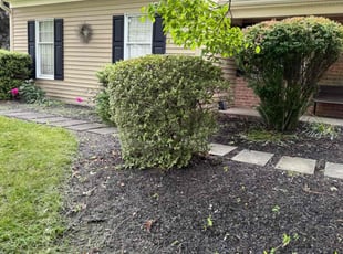 Bush Trimming by Chris Maurer for Neil M. in Downingtown, PA