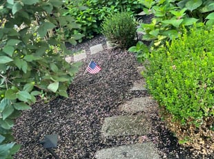 Weeding by Kasandra Velasco for Adam T. in Louisville, KY