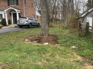 Leaf Removal by Justin Lawrence for Timothy S. in Cincinnati, OH