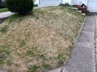 Leaf Removal by Cristian Giron for ROBERT J F. in Philadelphia, PA
