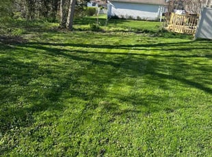 Stella I.'s Lawn Maintenance service result