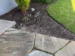 Weeding by Maria Hernandez for Bryan W. in Plano, TX