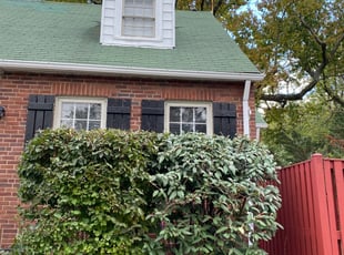 Bush Trimming by Jonathan Villatoro for Diamond D. in Silver Spring, MD