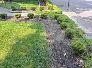 Cleanups by Leroy Green II for Nate S. in Columbus, OH