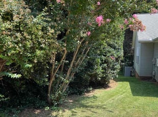 Bush Trimming by Jarvis Hambrick for Christopher H. in Greer, SC