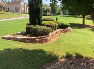 Bush Trimming by Stoy Fulcher for Chris S. in Conyers, GA