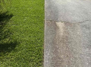 Jon R.'s Flower Bed Weeding service result