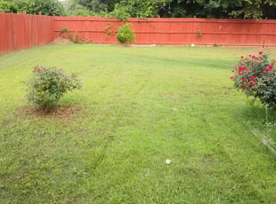 Bush Trimming by Emmanuel Odeh Adimah for Shemica S. in Douglasville, GA