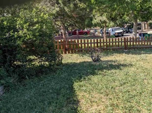 Bush Trimming by Luke Reinhold for Trai C. in Aurora, CO