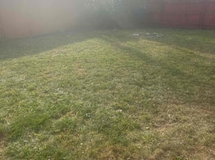 Leaf Removal by Shane Fellers for Mandy S. in Farmington Hills, MI