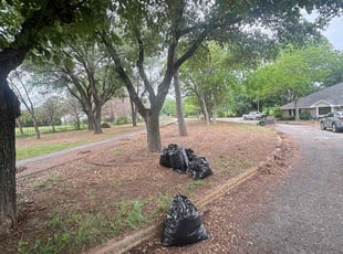 Leaf Removal by Mason Mendoza for Don L. in Alvarado, TX