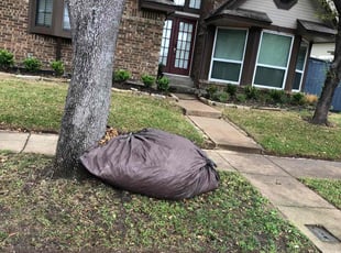 Leaf Removal by Simon Diamond for Andrea F. in Irving, TX